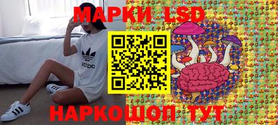 прущие грибы Можайск
