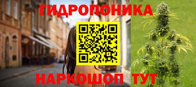 прущие грибы Можайск