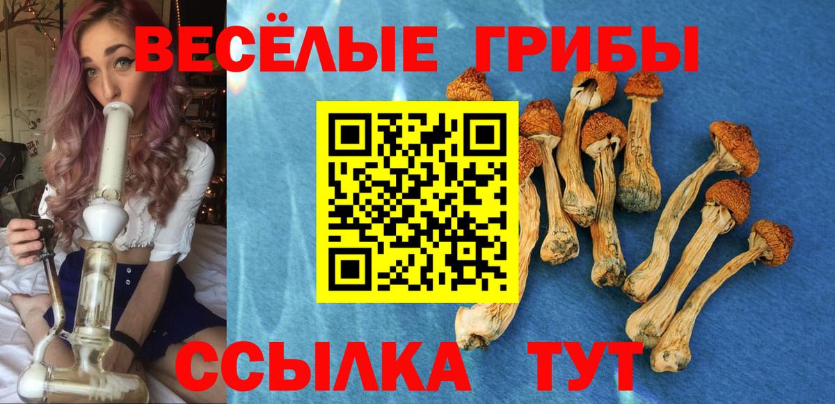 Галлюциногенные грибы ЛСД  Галлюциногенные грибы Psilocybine cubensis  Великий Устюг  Вход с VPN 