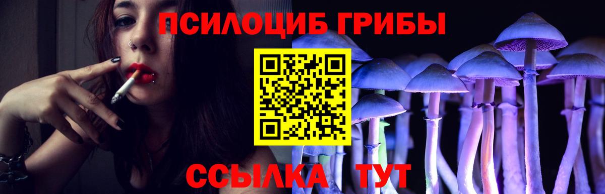 Галлюциногенные грибы Cubensis Великий Устюг